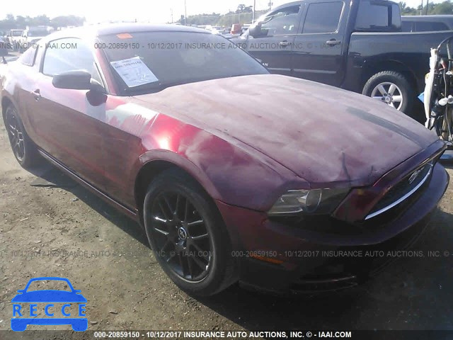 2014 Ford Mustang 1ZVBP8AM5E5298038 image 5