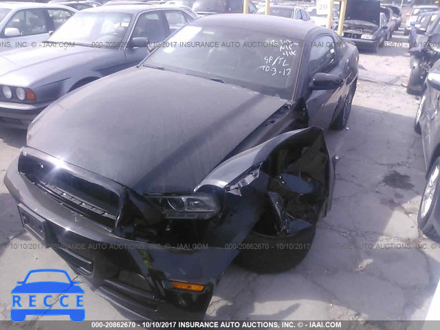 2013 Ford Mustang 1ZVBP8AM4D5255499 image 1