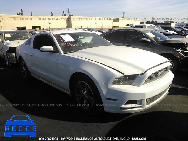 2014 Ford Mustang 1ZVBP8AM9E5302477 image 0
