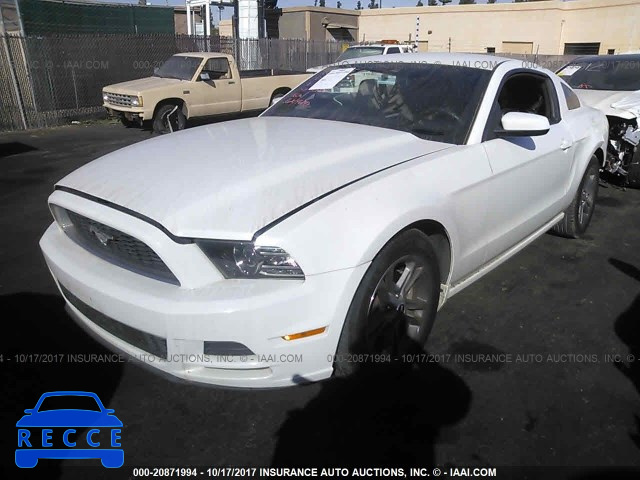2014 Ford Mustang 1ZVBP8AM9E5302477 image 1