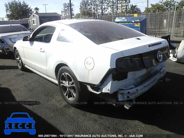 2014 Ford Mustang 1ZVBP8AM9E5302477 image 2
