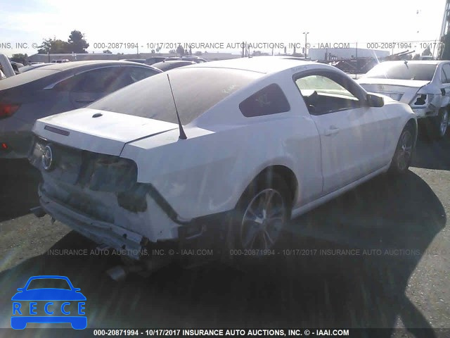 2014 Ford Mustang 1ZVBP8AM9E5302477 image 3