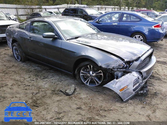 2013 Ford Mustang 1ZVBP8AM8D5263539 image 0