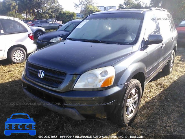 2005 Honda Pilot 5FNYF18505B033869 image 5