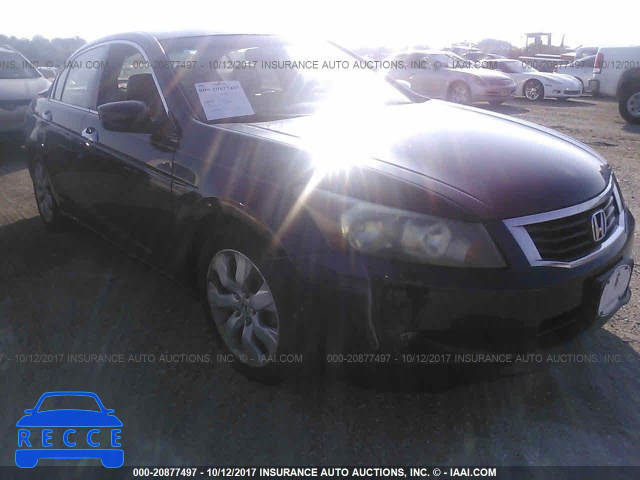2008 Honda Accord 1HGCP368X8A045879 image 5