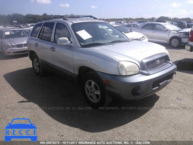 2004 Hyundai Santa Fe KM8SB12B14U645189 image 0