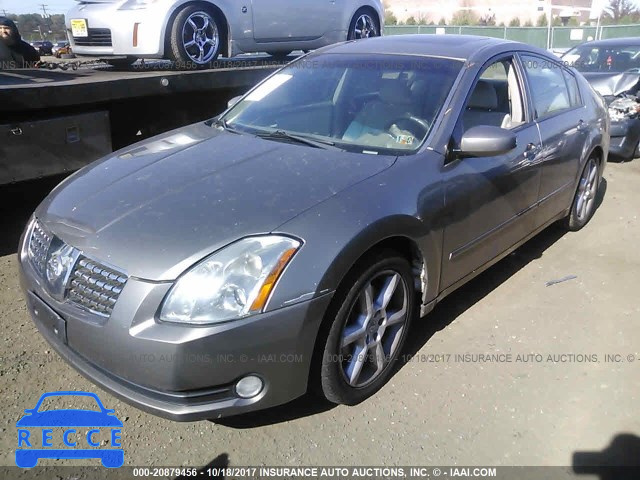 2005 Nissan Maxima SE/SL 1N4BA41E95C816546 image 1
