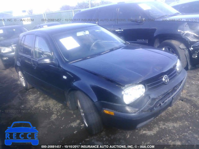 2004 Volkswagen Golf GLS 9BWGL61J044000701 image 0