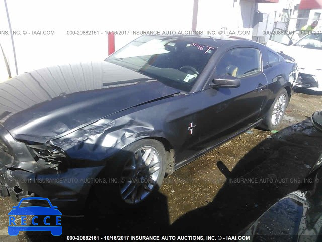 2014 Ford Mustang 1ZVBP8AM7E5230873 image 1