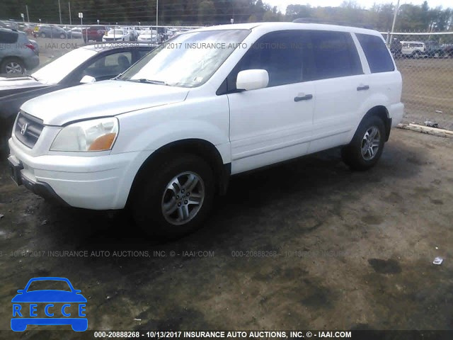 2005 Honda Pilot 5FNYF18595B036804 image 1