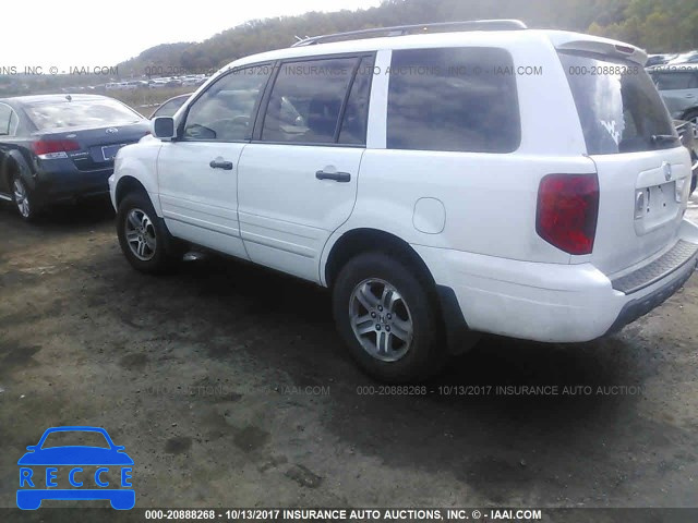 2005 Honda Pilot 5FNYF18595B036804 image 2