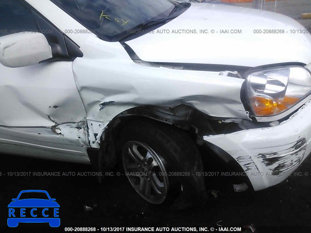 2005 Honda Pilot 5FNYF18595B036804 image 5