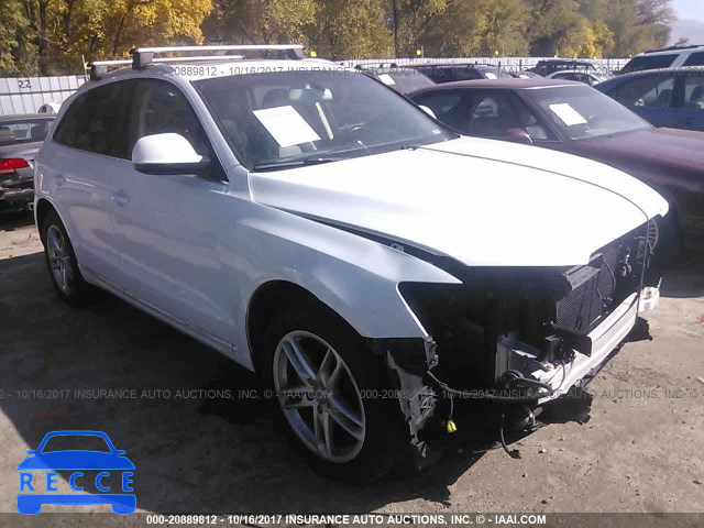 2013 Audi Q5 WA1LFAFP1DA044332 зображення 0