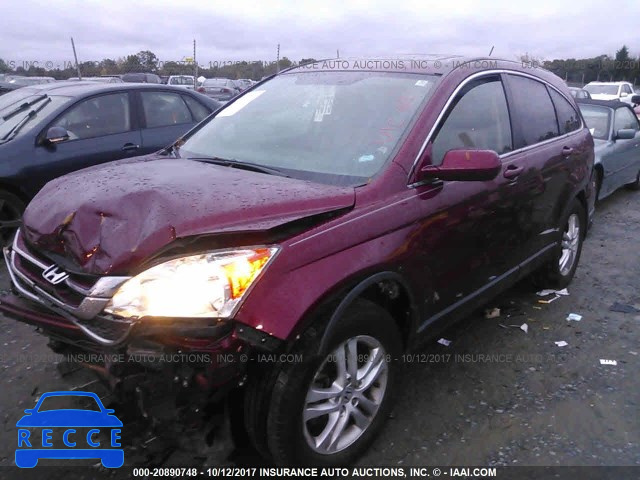 2010 Honda CR-V EXL 5J6RE4H78AL061608 image 1