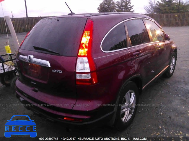 2010 Honda CR-V EXL 5J6RE4H78AL061608 Bild 3