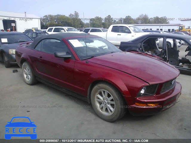 2008 Ford Mustang 1ZVHT84N585109192 image 0