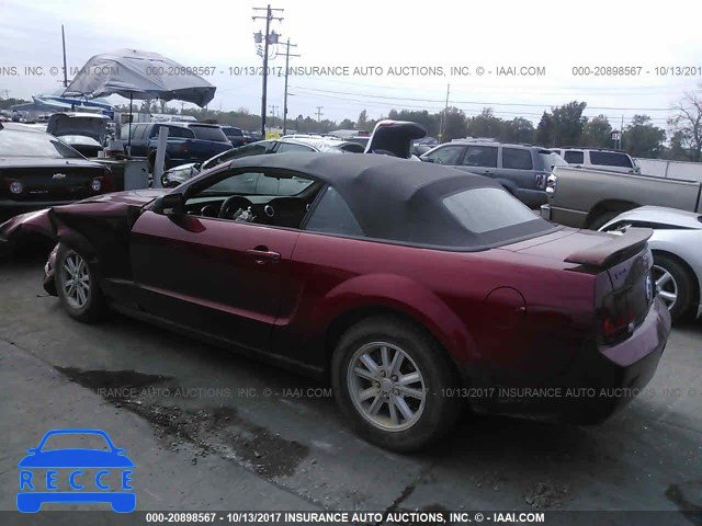 2008 Ford Mustang 1ZVHT84N585109192 image 2