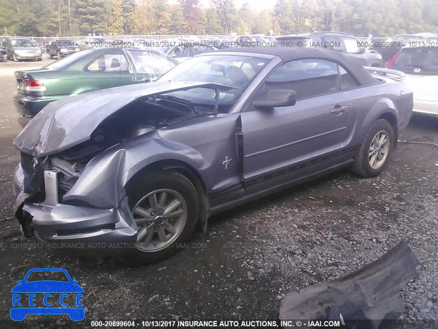 2006 Ford Mustang 1ZVFT84N365226273 image 1