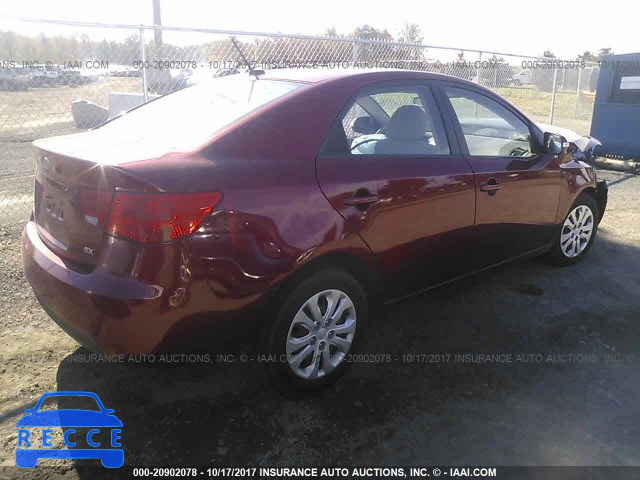 2010 KIA Forte KNAFU4A23A5239128 image 3