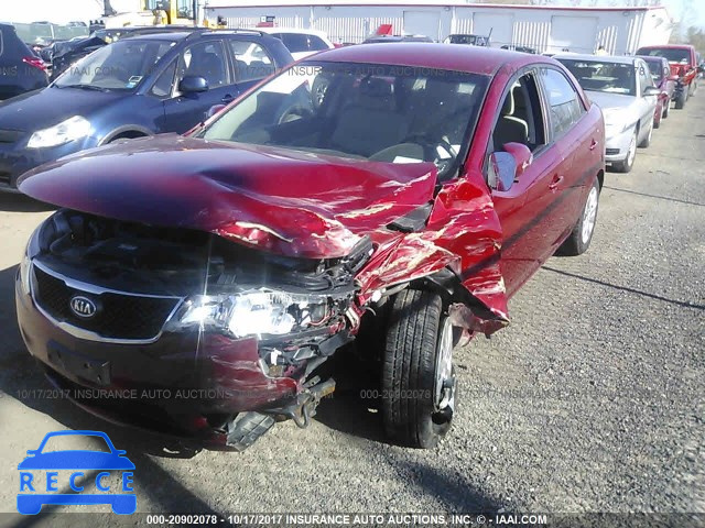 2010 KIA Forte KNAFU4A23A5239128 image 5