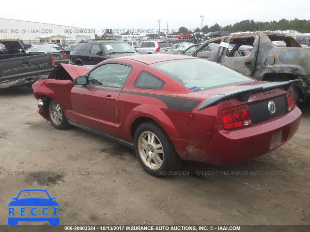 2007 Ford Mustang 1ZVFT80N575233295 image 2