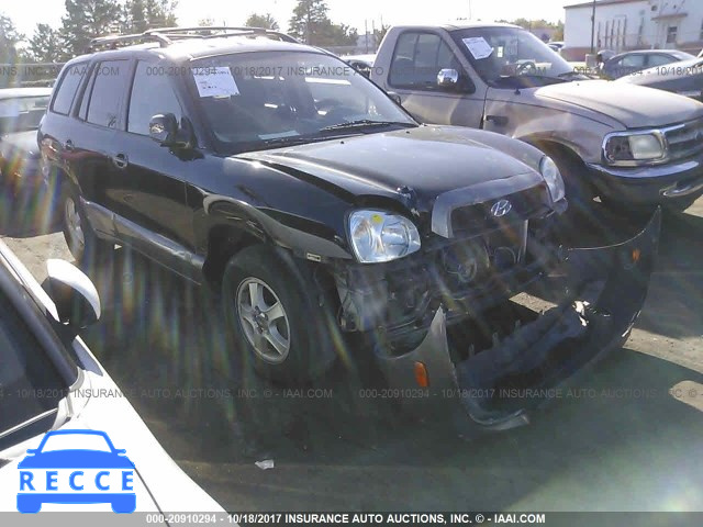 2004 Hyundai Santa Fe KM8SB12B34U822776 image 0