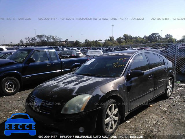 2005 Nissan Maxima 1N4BA41E25C824181 image 1