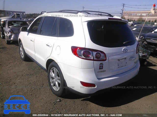 2011 Hyundai Santa Fe LIMITED 5XYZKDAG4BG009995 зображення 2