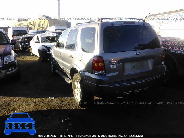 2007 Ford Escape XLT 1FMCU931X7KB17296 image 2