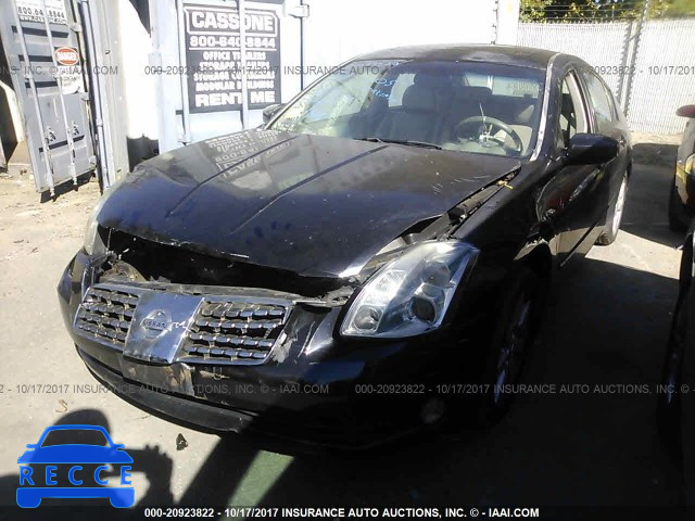 2005 NISSAN MAXIMA 1N4BA41E55C846210 image 1