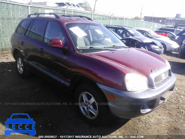 2003 Hyundai Santa Fe GL KM8SB12B13U549187 image 0