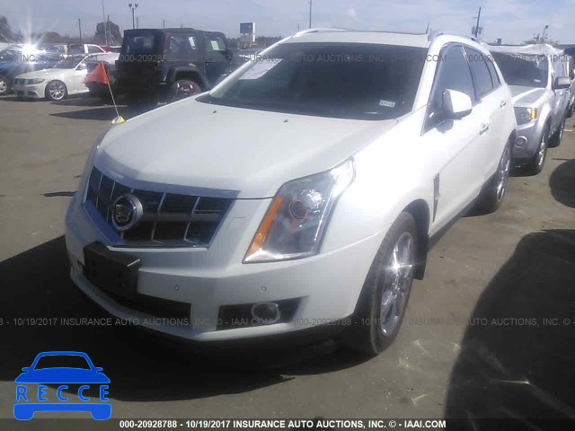 2011 Cadillac SRX PREMIUM COLLECTION 3GYFNCEY9BS521655 image 1