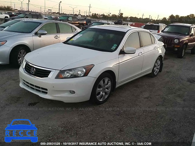 2010 Honda Accord 5KBCP3F83AB016477 image 1