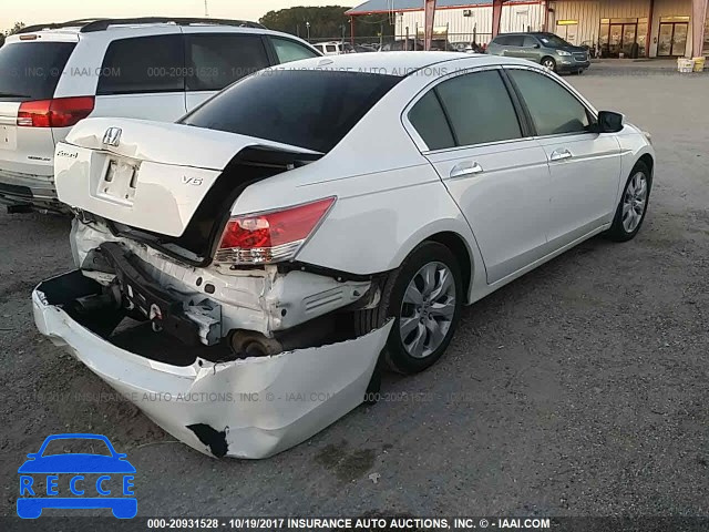 2010 Honda Accord 5KBCP3F83AB016477 image 3