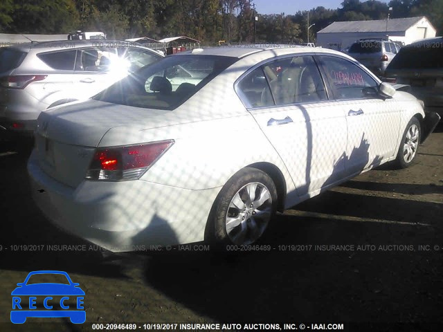 2010 Honda Accord 1HGCP3F82AA007410 image 3