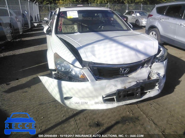 2010 Honda Accord 1HGCP3F82AA007410 image 5