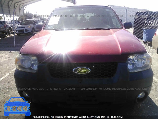2007 FORD ESCAPE XLT 1FMYU03117KB36157 image 5