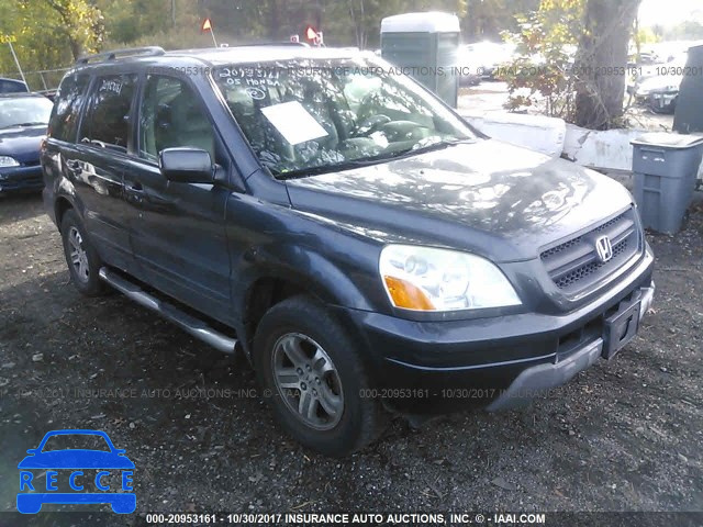 2005 HONDA PILOT 5FNYF186X5B055130 image 0
