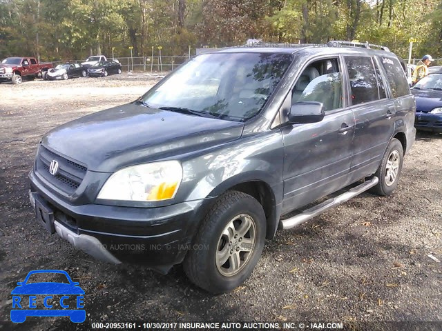 2005 HONDA PILOT 5FNYF186X5B055130 image 1