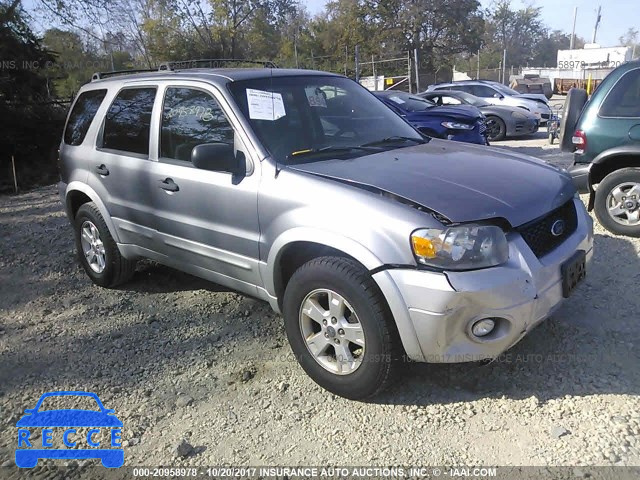 2007 Ford Escape 1FMYU03157KA14532 image 0