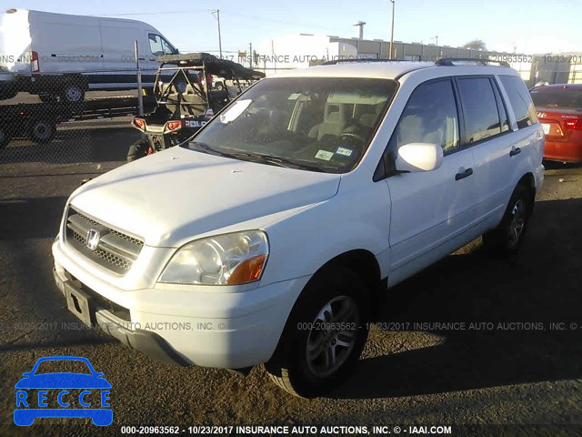 2005 Honda Pilot 5FNYF184X5B062044 image 1