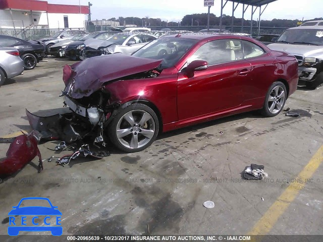 2010 Lexus IS JTHFF2C24A2512446 image 1