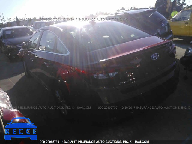 2017 HYUNDAI SONATA 5NPE24AF4HH492637 image 2