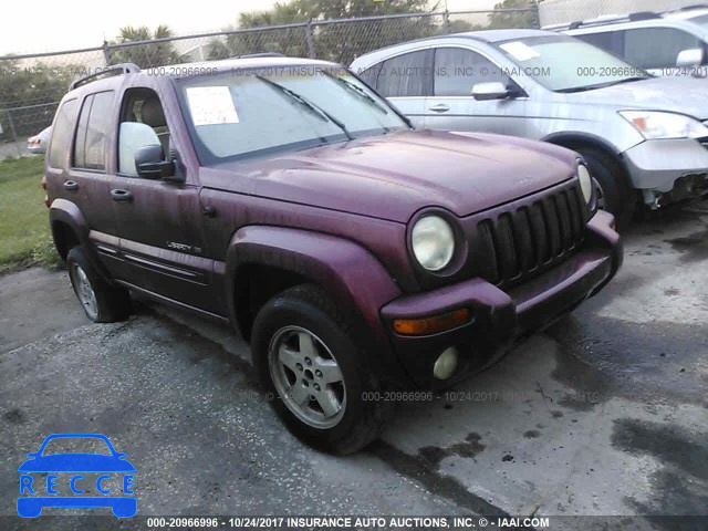 2002 Jeep Liberty 1J8GK58K52W161593 зображення 0