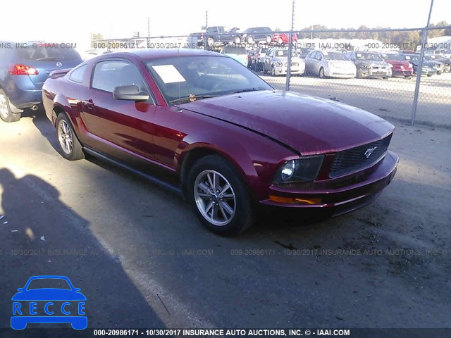 2005 Ford Mustang 1ZVFT80N855238049 image 0