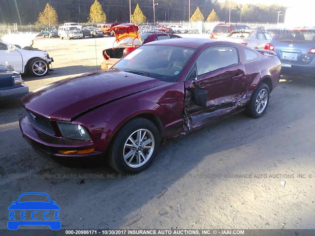 2005 Ford Mustang 1ZVFT80N855238049 image 1