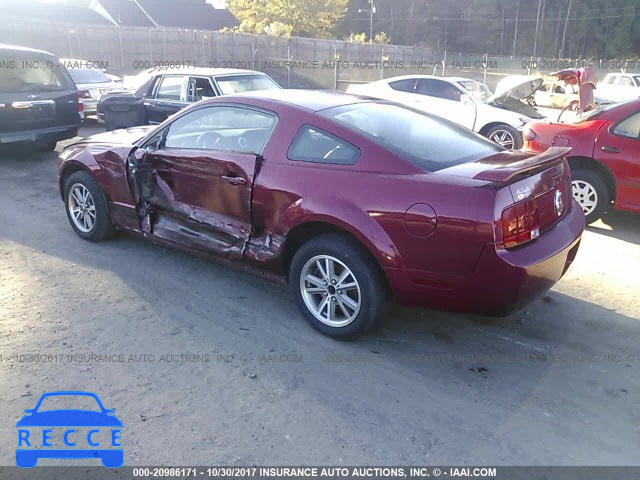 2005 Ford Mustang 1ZVFT80N855238049 image 2