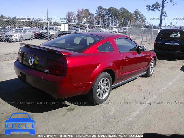 2005 Ford Mustang 1ZVFT80N855238049 image 3