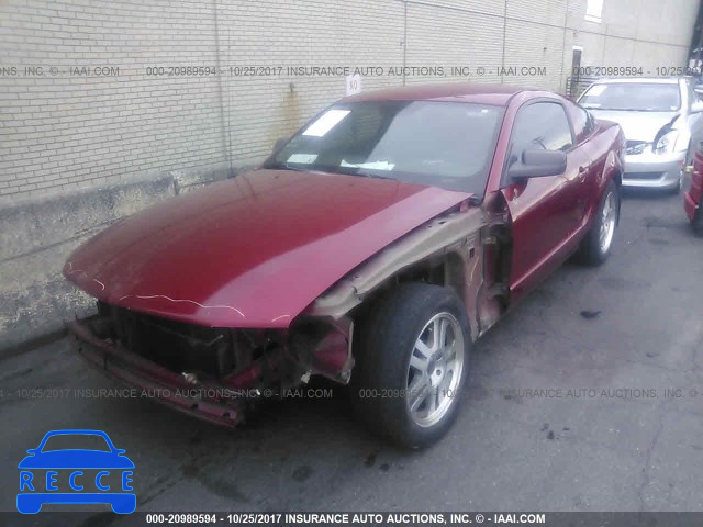 2006 Ford Mustang 1ZVFT80N365220091 image 1