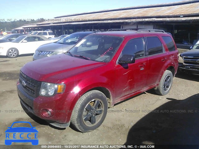 2010 Ford Escape XLT 1FMCU0D78AKD17440 image 1